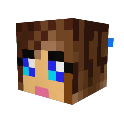 wipt Minecraft avatar head, 3D render