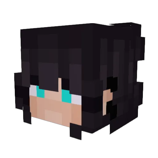 wipxymostpalone Minecraft avatar head, 3D render