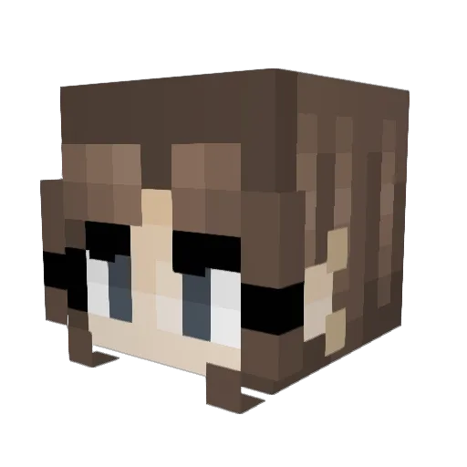 wiqeds Minecraft avatar head, 3D render