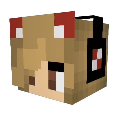 wirbis Minecraft avatar head, 3D render