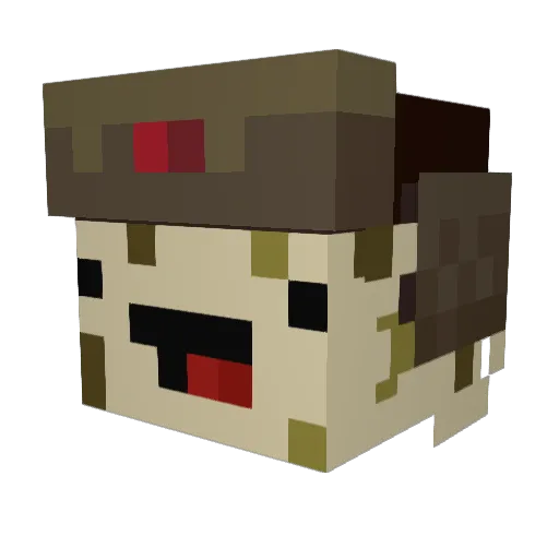 wire_hangers Minecraft avatar head, 3D render