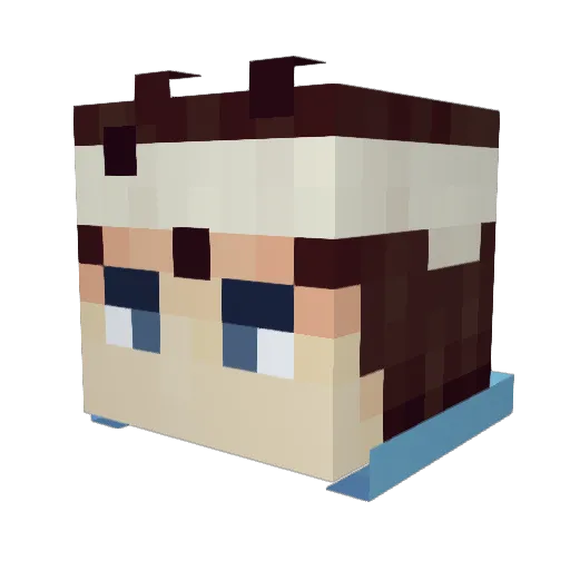 wirebtw Minecraft avatar head, 3D render