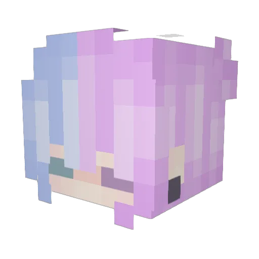 wiredfishy Minecraft avatar head, 3D render