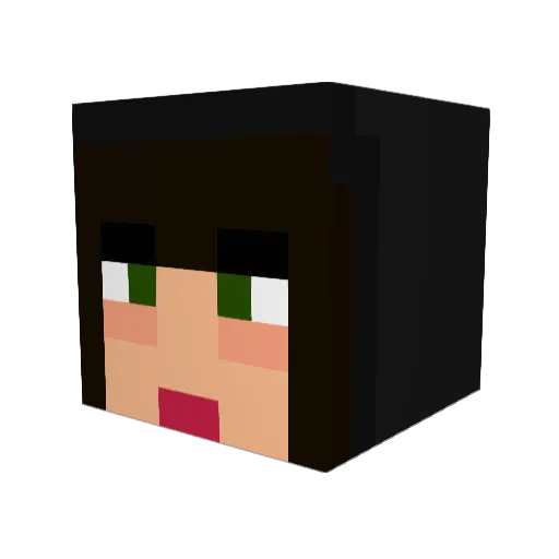 wirem10 Minecraft avatar head, 3D render