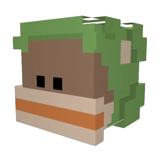 wirse Minecraft avatar head, 3D render