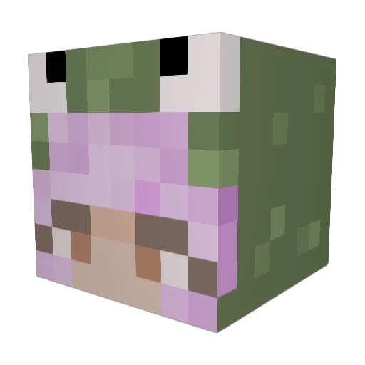 wisaa Minecraft avatar head, 3D render