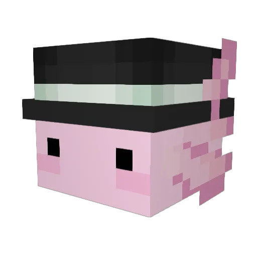 wisaya Minecraft avatar head, 3D render