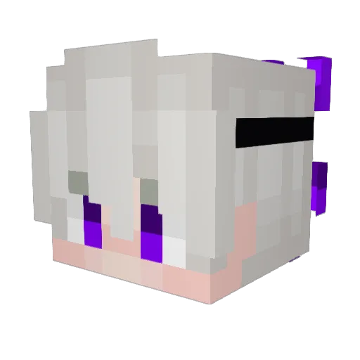 wisdom0807 Minecraft avatar head, 3D render
