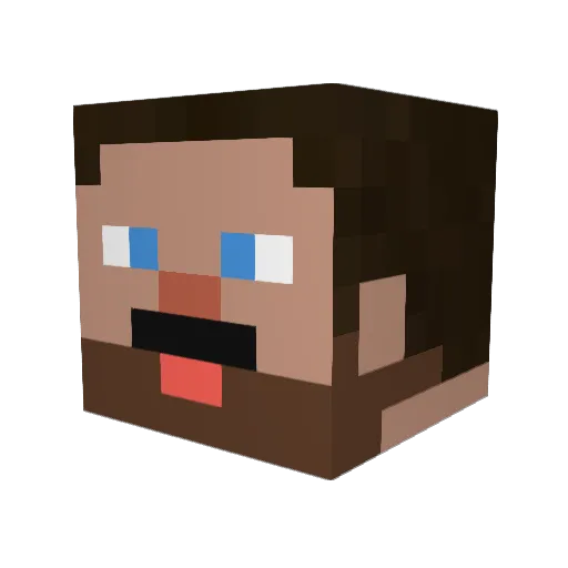 wisdomgg Minecraft avatar head, 3D render