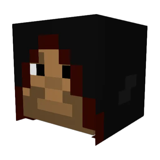 wisebook Minecraft avatar head, 3D render