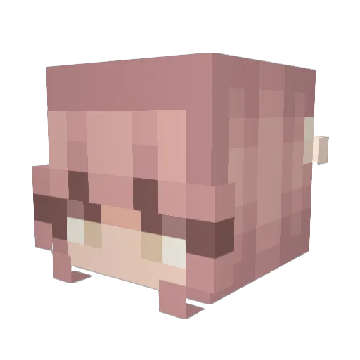 wisecrook Minecraft avatar head, 3D render