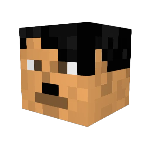 wiseless Minecraft avatar head, 3D render