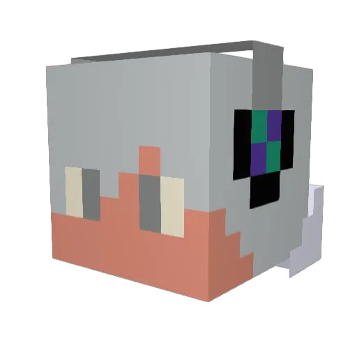 wiseoldman5 Minecraft avatar head, 3D render