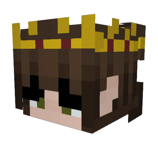 wiseoldsage Minecraft avatar head, 3D render