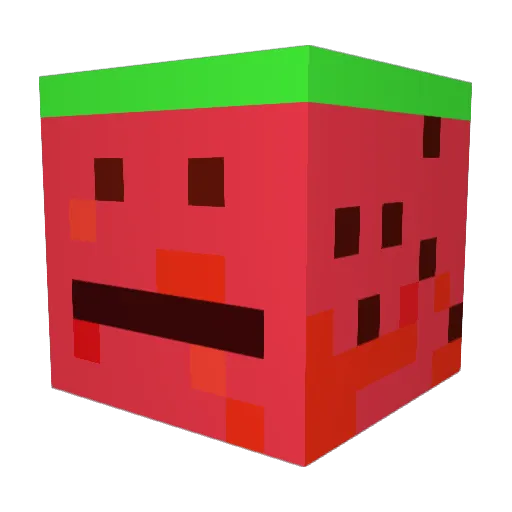wisewatermelon Minecraft avatar head, 3D render