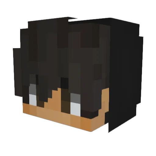wishfulwings Minecraft avatar head, 3D render