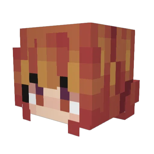 wishfxl Minecraft avatar head, 3D render