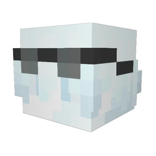 wishgant Minecraft avatar head, 3D render