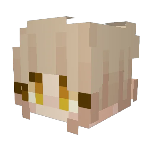 wisho1926 Minecraft avatar head, 3D render