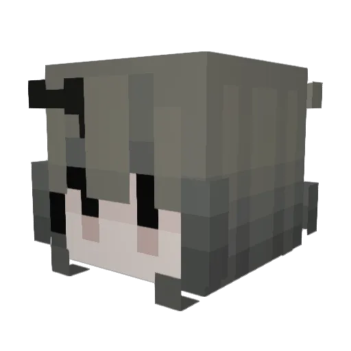 wishyay Minecraft avatar head, 3D render