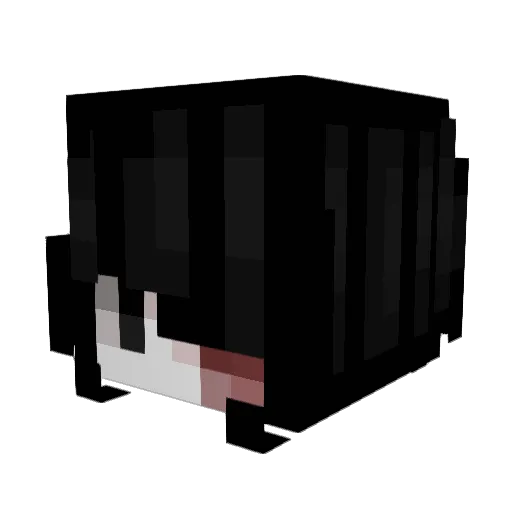 wishyouknew Minecraft avatar head, 3D render