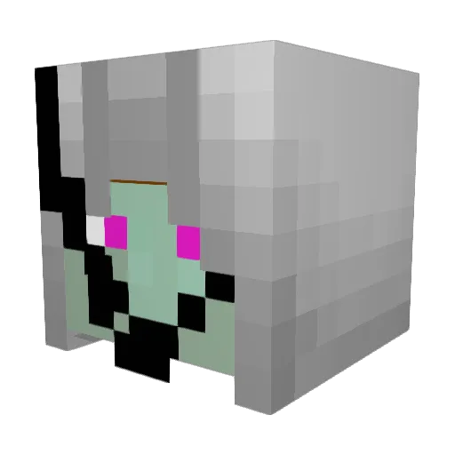wisky102 Minecraft avatar head, 3D render