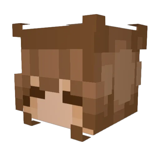 wispwhip Minecraft avatar head, 3D render