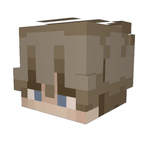 wispy8753 Minecraft avatar head, 3D render