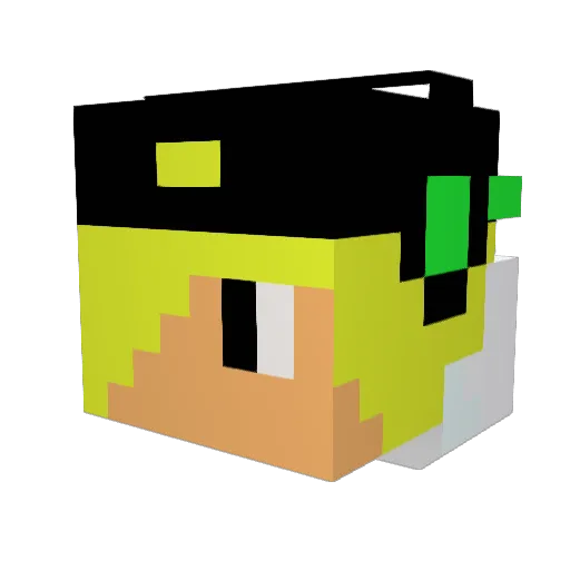 wisssamgamer Minecraft avatar head, 3D render