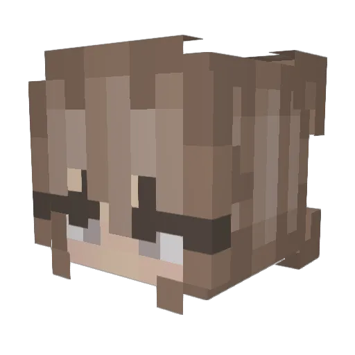 wisterism Minecraft avatar head, 3D render