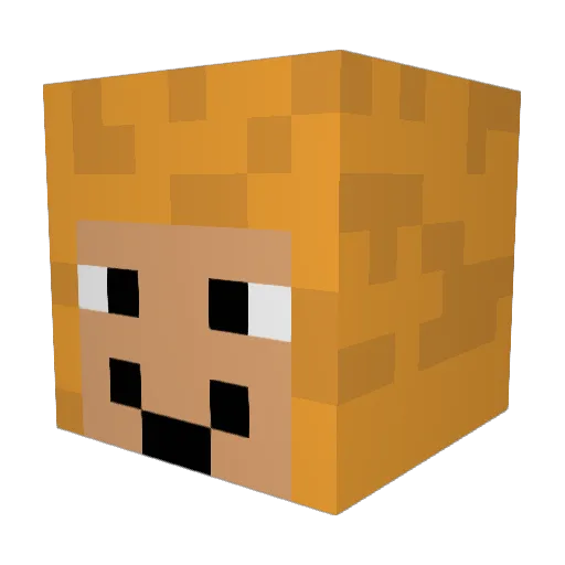 wisterw Minecraft avatar head, 3D render