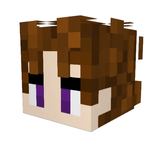 wistful_5000 Minecraft avatar head, 3D render