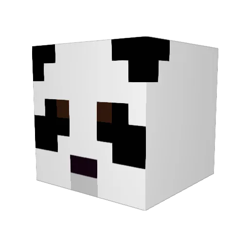 wit123jk Minecraft avatar head, 3D render