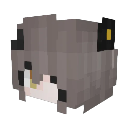 witcher722 Minecraft avatar head, 3D render