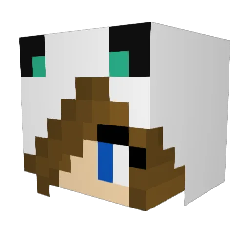 witchfire Minecraft avatar head, 3D render