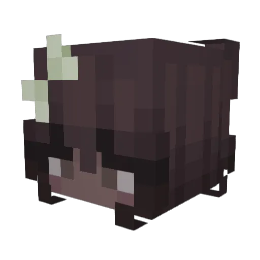 witchlace Minecraft avatar head, 3D render