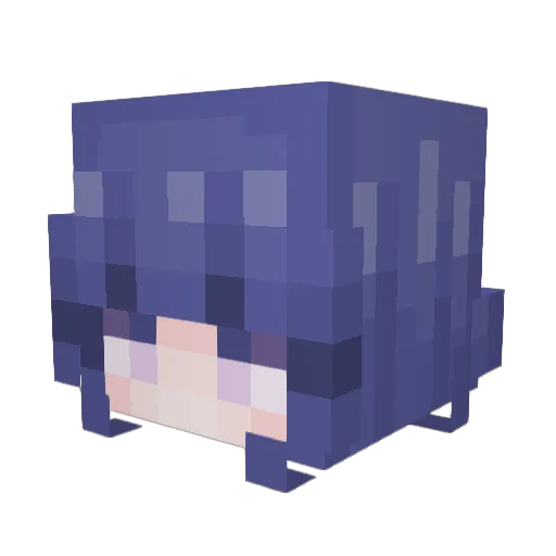 witchmeow Minecraft avatar head, 3D render