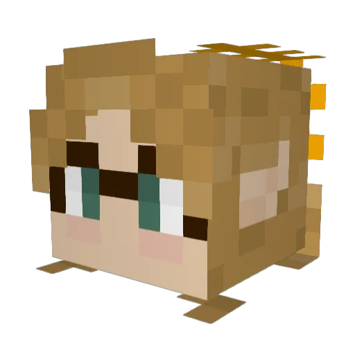 witchy_wolfie27 Minecraft avatar head, 3D render