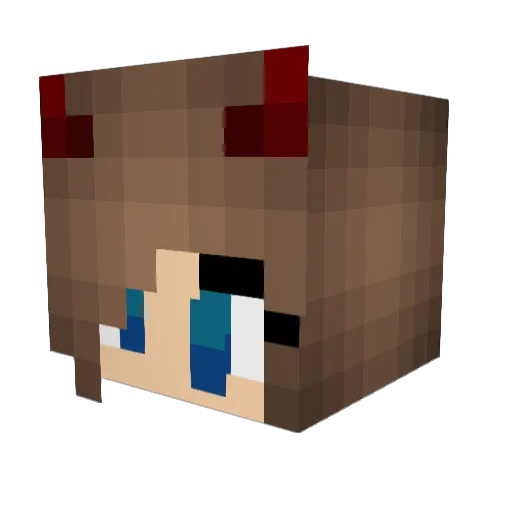 witek2420 Minecraft avatar head, 3D render