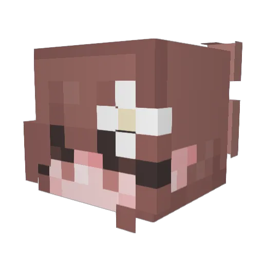 witekaco Minecraft avatar head, 3D render