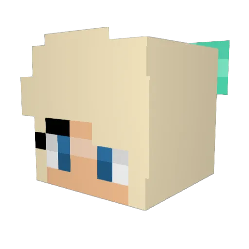 witelfje12 Minecraft avatar head, 3D render