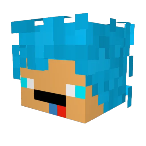 witherbryne Minecraft avatar head, 3D render