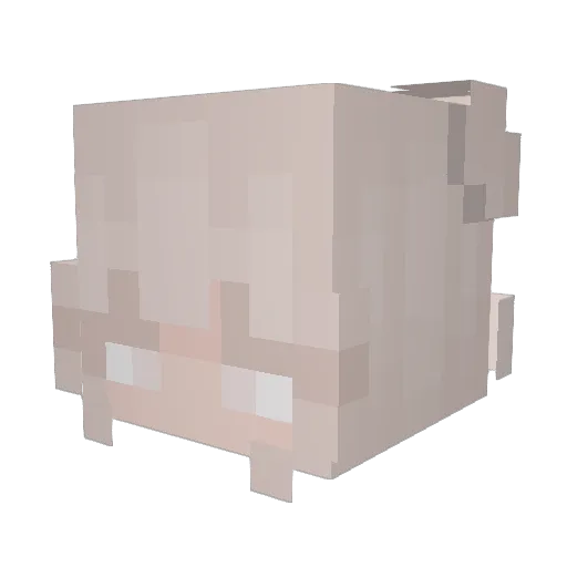 withered_rose0 Minecraft avatar head, 3D render