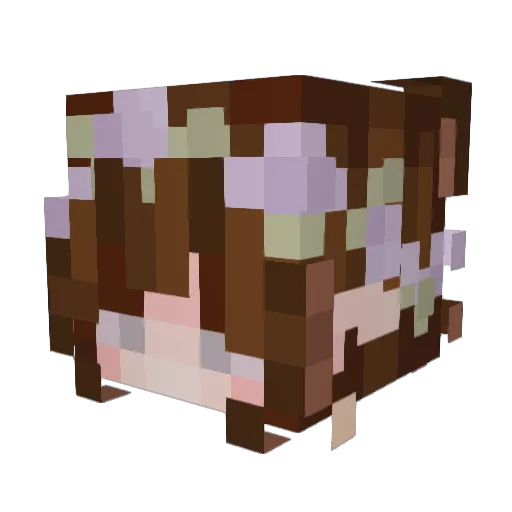witherinn Minecraft avatar head, 3D render