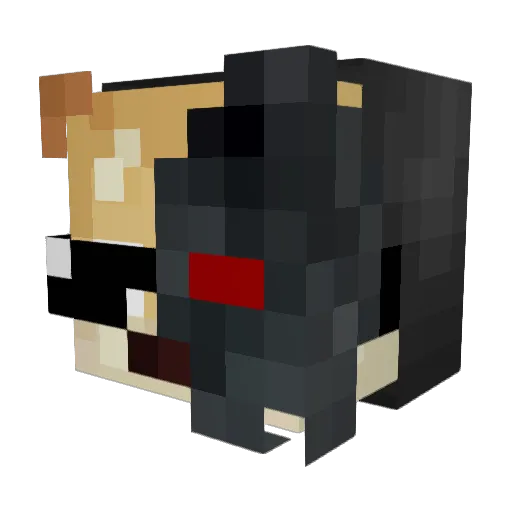 withlovecredence Minecraft avatar head, 3D render