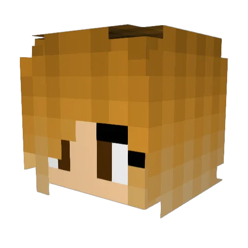withmywings Minecraft avatar head, 3D render