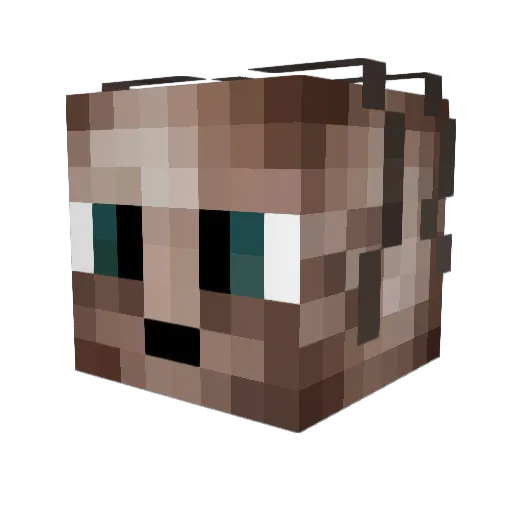 witily Minecraft avatar head, 3D render