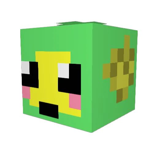 witlofje Minecraft avatar head, 3D render