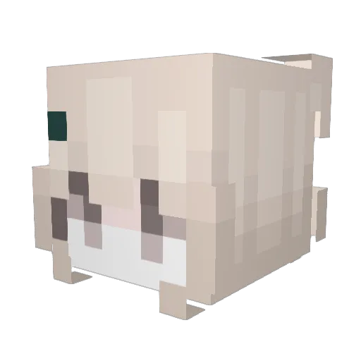 witly Minecraft avatar head, 3D render