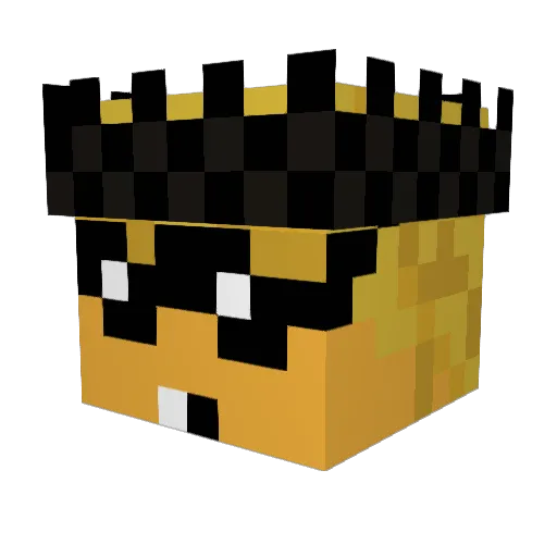 wittydolphin243 Minecraft avatar head, 3D render